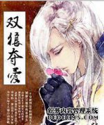 寻找品牌小说